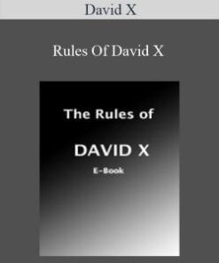 David X – Rules Of David X