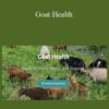 Deborah Niemann Goat Health 250x343 1 » Courses[GB]