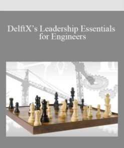DelftX’s Leadership Essentials for Engineers