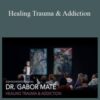 Dr. Gabor Mate Healing Trauma Addiction 250x343 1 » Courses[GB]