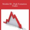 FX MindShift Module III Peak Formation Trades 250x343 1 » Courses[GB]