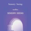 Hemi Sync Sensory Seeing 250x343 1 » Courses[GB]