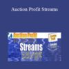 John Thornhill Auction Profit Streams 250x343 1 » Courses[GB]