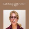 Kate N – Agile Scrum and how NOT to do it