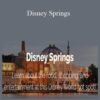 LJ Johnson Disney Springs 250x343 1 » Courses[GB]