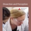 Lauri Nemetz Dissection and Perception 250x343 1 » Courses[GB]