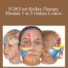 Lone Sorensen TCM Foot Reflex Therapy Module 1 to 5 Online Course 250x343 1 » Courses[GB]