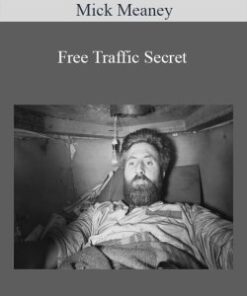 Mick Meaney – Free Traffic Secret