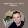 Mike Cooch Boomerang SMS Service Blueprint 250x343 1 » Courses[GB]