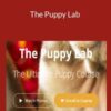 Nando Jo Rosie Dean The Puppy Lab 250x343 1 » Courses[GB]