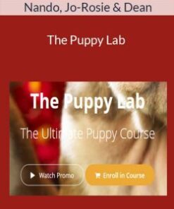 Nando, Jo-Rosie & Dean – The Puppy Lab