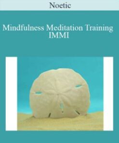 Noetic – Mindfulness Meditation Training IMMI