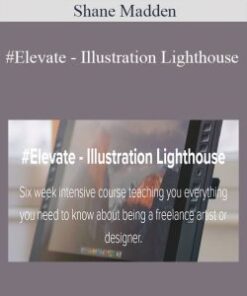 Shane Madden – #Elevate – Illustration Lighthouse