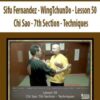 Sifu Fernandez WingTchunDo Lesson 50 Chi Sao 7th Section Techniques 250x321 1 » Courses[GB]
