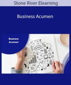 Stone River Elearning – Business Acumen