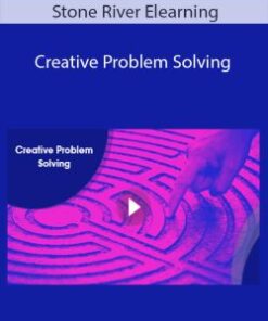 Stone River Elearning – Creative Problem Solving