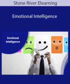 Stone River Elearning – Emotional Intelligence
