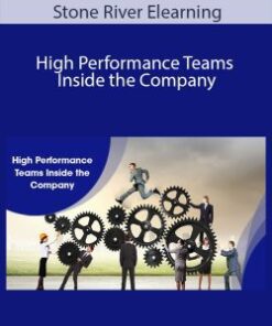 Stone River Elearning – High Performance Teams Inside the Company