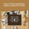 Stone River Elearning How to Flip Liquidation Pallets Online For Profit 250x343 1 » Courses[GB]