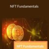 Stone River Elearning NFT Fundamentals 250x343 1 » Courses[GB]