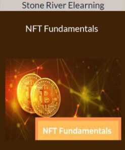Stone River Elearning – NFT Fundamentals