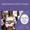 Stone River Elearning Organisational Culture Change 250x343 1 » Courses[GB]