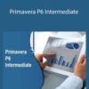 Stone River Elearning – Primavera P6 Intermediate