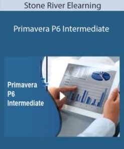 Stone River Elearning – Primavera P6 Intermediate