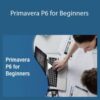 Stone River Elearning Primavera P6 for Beginners 250x343 1 » Courses[GB]