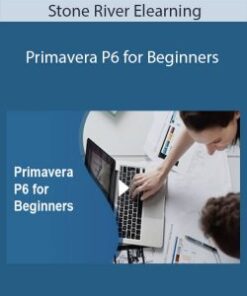 Stone River Elearning – Primavera P6 for Beginners