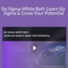 Stone River Elearning Six Sigma White Belt Learn Six Sigma Grow Your Potential 250x343 1 » Courses[GB]