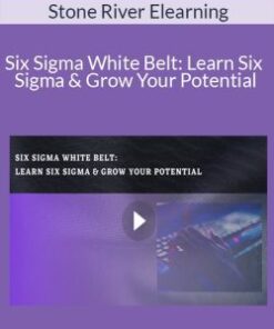 Stone River Elearning – Six Sigma White Belt: Learn Six Sigma & Grow Your Potential