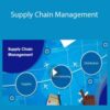 Stone River Elearning Supply Chain Management 250x343 1 » Courses[GB]