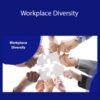 Stone River Elearning Workplace Diversity 250x343 1 » Courses[GB]