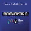 The Traveling Trader How to Trade Options 101 250x343 1 » Courses[GB]