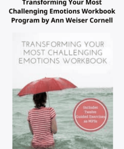 Transforming Your Most Challenging Emotions Workbook Program by Ann Weiser Cornell