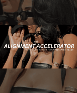 The Alignment Accelerator - Nadia Khaled
